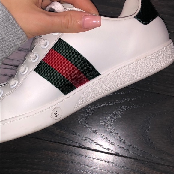 Women’s Gucci Sneakers. - Picture 8 of 8